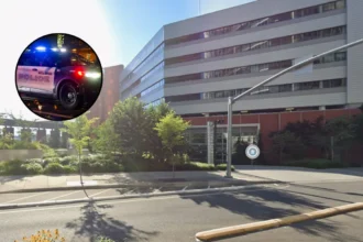 Three Relatives Charged in $1M Elder Fraud Scheme Bellevue 2026