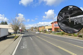Thurston County Shootings Leave Two Dead in Olympia Parking Lot 2026