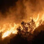 WSU Extension Wildfire Relief for Horses and Pets, Spokane 2026
