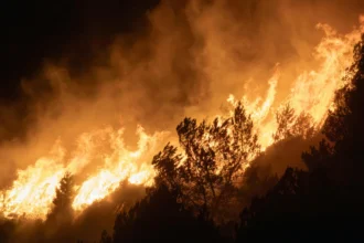 WSU Extension Wildfire Relief for Horses and Pets, Spokane 2026