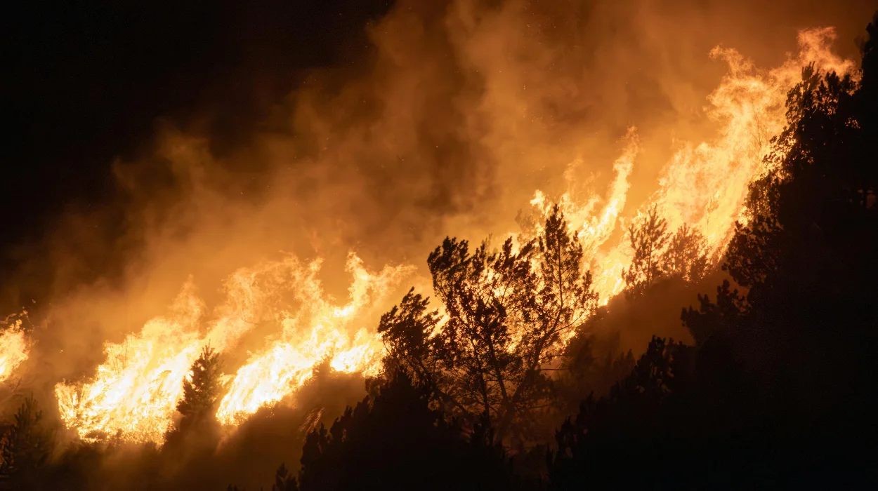 WSU Extension Wildfire Relief for Horses and Pets, Spokane 2026
