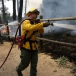 Washington Wildfire Costs Surge in Seattle, 2026