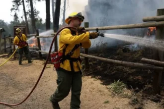 Washington Wildfire Costs Surge in Seattle, 2026