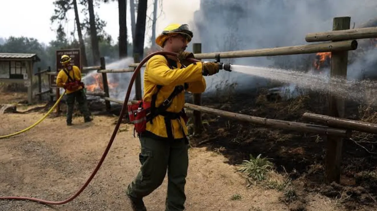 Washington Wildfire Costs Surge in Seattle, 2026