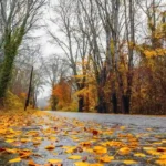 Fall Weather Forecast Hits Pierce County 2026
