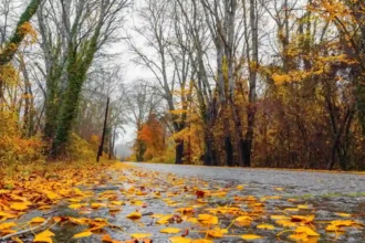 Fall Weather Forecast Hits Pierce County 2026