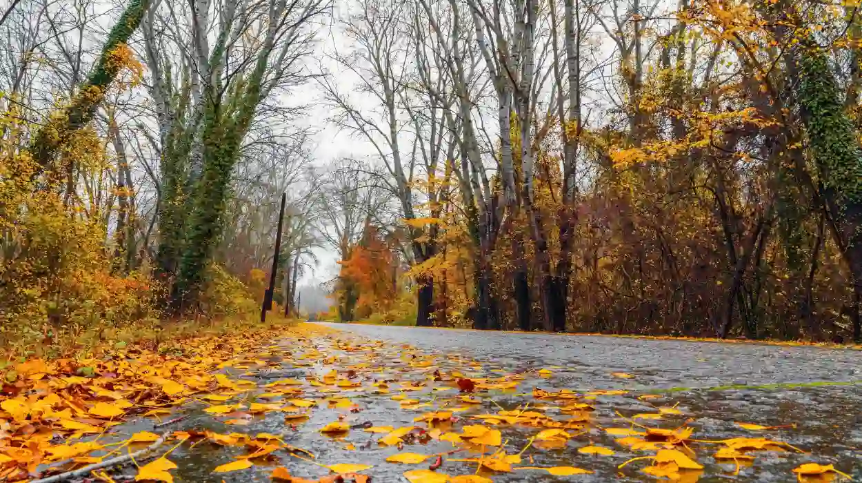 Fall Weather Forecast Hits Pierce County 2026