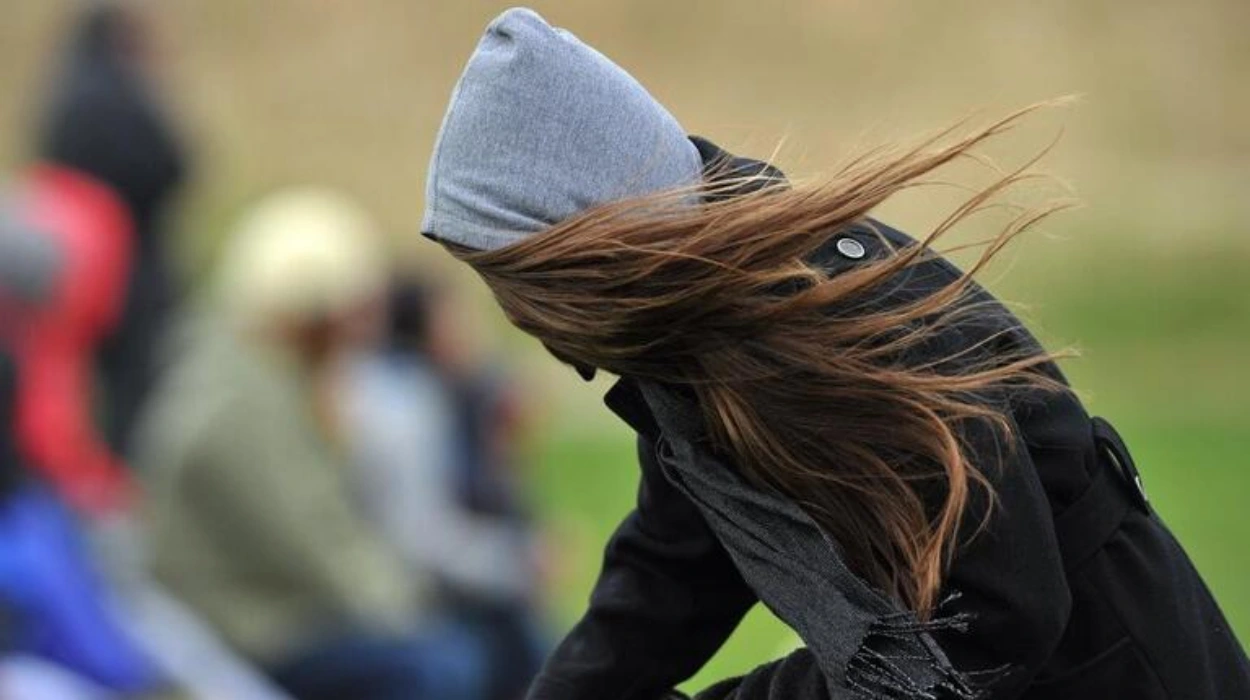 Strong Winds and Power Outages Threaten Whatcom County 2026