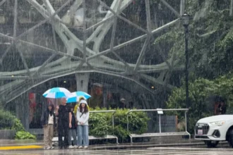 UW Weather Guru Cliff Mass Warns Western Washington Fall Rain Seattle 2026