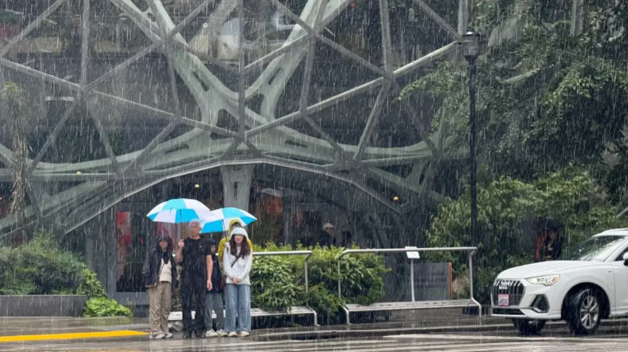 UW Weather Guru Cliff Mass Warns Western Washington Fall Rain Seattle 2026