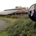 Washington Farmers Reject Trump Beef Plan Over Costs in Washington 2026