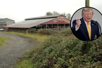 Washington Farmers Reject Trump Beef Plan Over Costs in Washington 2026