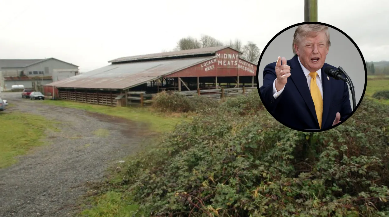 Washington Farmers Reject Trump Beef Plan Over Costs in Washington 2026