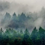 Washington Wildfires Update: Containment and Air Quality Status in Washington 2026