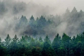 Washington Wildfires Update: Containment and Air Quality Status in Washington 2026