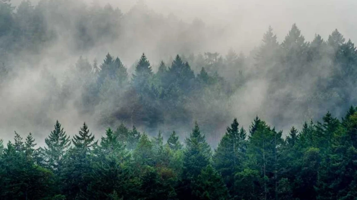 Washington Wildfires Update: Containment and Air Quality Status in Washington 2026