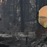 Wildfire Smoke and Falling Ash Surge Across Washington 2026