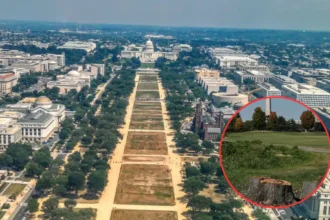 Ana-Reyes-Blocks-Donald-Trump-Golf-Course-Overhaul