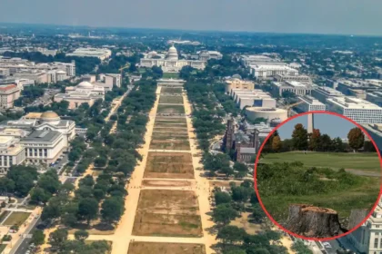 Ana-Reyes-Blocks-Donald-Trump-Golf-Course-Overhaul