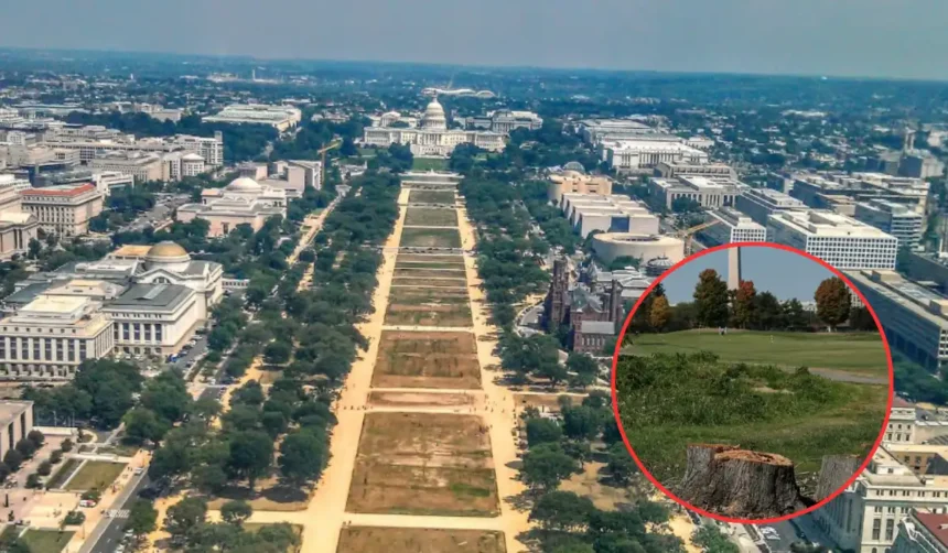 Ana-Reyes-Blocks-Donald-Trump-Golf-Course-Overhaul