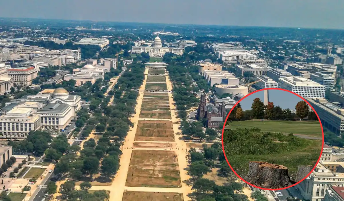 Ana-Reyes-Blocks-Donald-Trump-Golf-Course-Overhaul